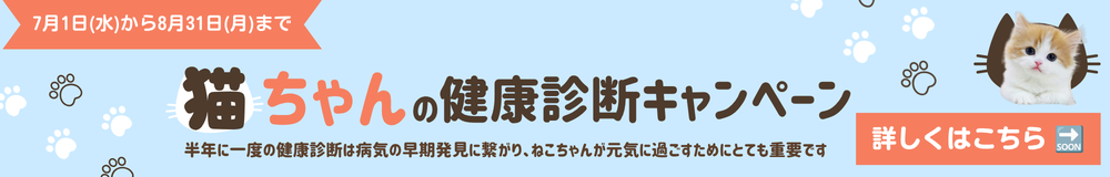 キャンペーン