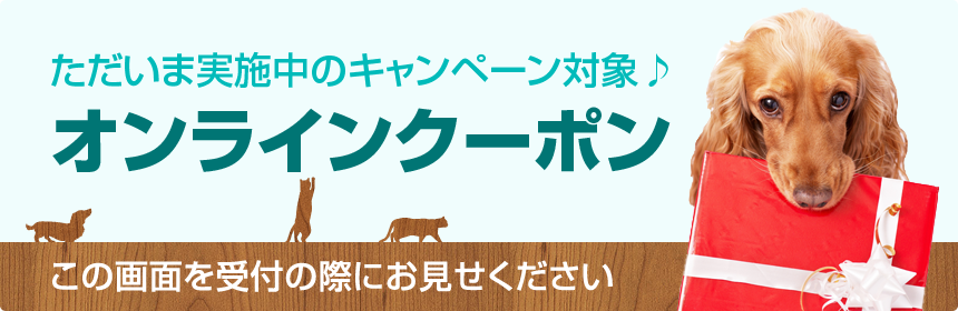 オンラインクーポン