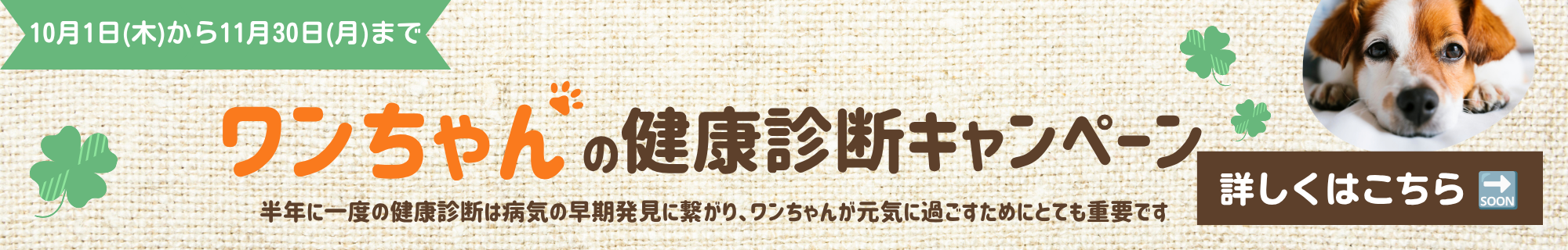 キャンペーン