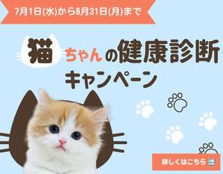 キャンペーン