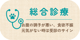 総合診療