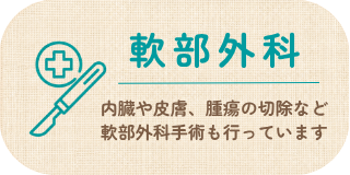 軟部外科