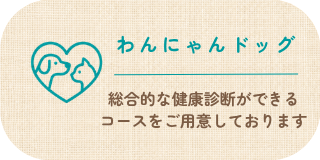 わんにゃんドック