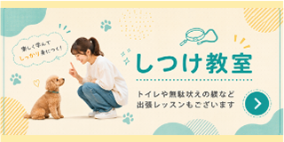 しつけ教室
