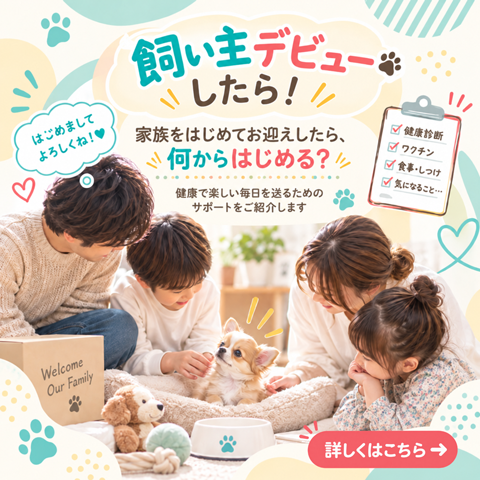 飼い主デビュー
