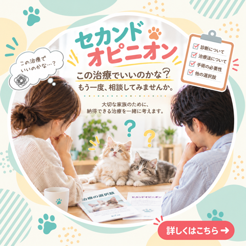セカンドオピニオン
