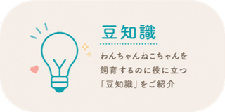 豆知識