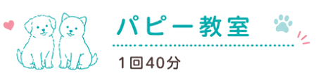 パピー教室 1回40分
