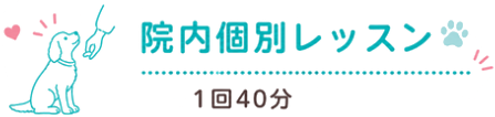 院内個別レッスン 1回40分