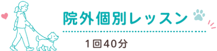 院外個別レッスン 1回40分