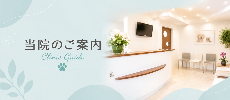当院のご案内