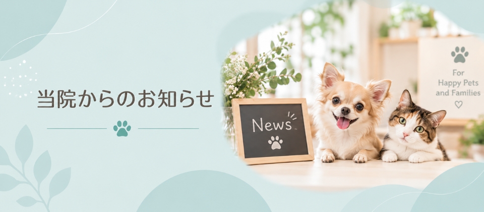 当院からのお知らせ