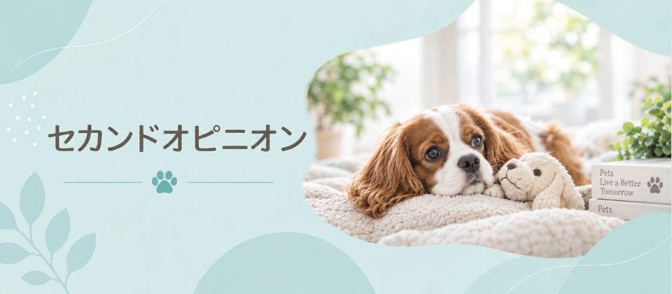 セカンドオピニオン診療