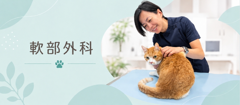 軟部外科