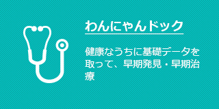 わんにゃんドッグ